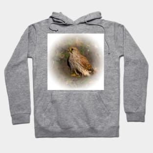 Kestrel Hoodie